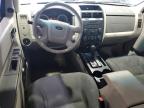 2008 Ford Escape Xls იყიდება Billings-ში, MT - Hail