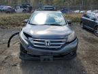 Baltimore, MD에서 판매 중인 2014 Honda Cr-V Exl - Front End