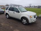 2009 Ford Escape Xlt продається в Columbia Station, OH - Side