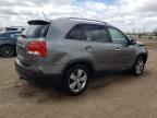 2013 Kia Sorento Ex zu verkaufen in Elgin, IL - Front End