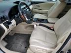 2014 Lexus Rx 350 for Sale in Greenwell Springs, LA - Front End