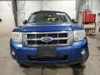 2008 Ford Escape Xlt en Venta en Ham Lake, MN - All Over