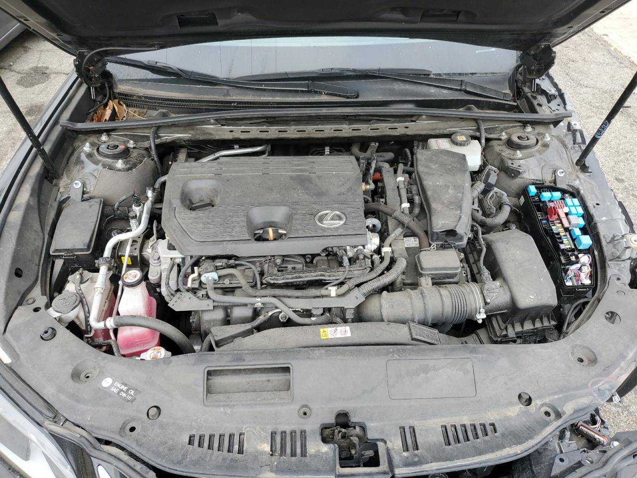 2022 Lexus Es 300H Base VIN: 58ADA1C13NU019560 Lot: 53808745