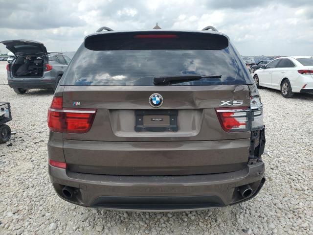  BMW X5 2013 Brown