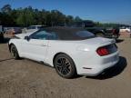 2018 Ford Mustang  for Sale in Greenwell Springs, LA - Front End