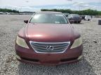 2007 Lexus Ls 460L zu verkaufen in Memphis, TN - Water/Flood
