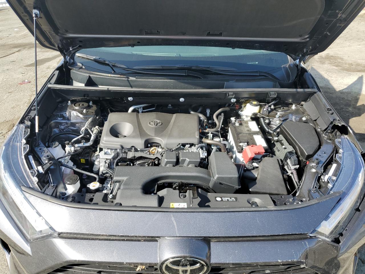 2025 Toyota Rav4 Xle VIN: 2T3P1RFV4SC511908 Lot: 55334345