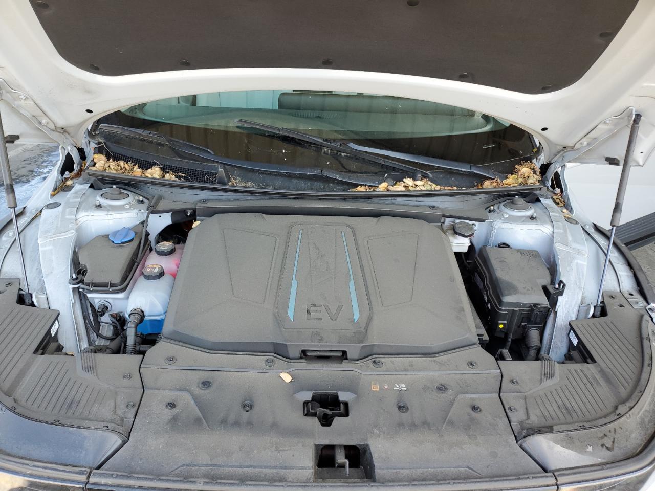 2023 Hyundai Ioniq 5 Sel VIN: KM8KNDAF8PU227567 Lot: 52433875