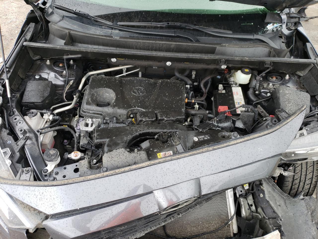 JTMA1RFV9KD522310 TOYOTA RAV4 2019