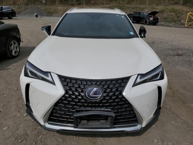  LEXUS UX 250H 2019 Белы