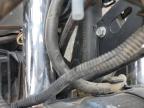 2011 Kawasaki Kl650 E for Sale in Amarillo, TX - Front End