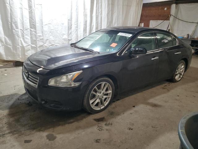  NISSAN MAXIMA 2013 Фиолетовый