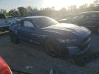 Spartanburg, SC에서 판매 중인 2023 Ford Mustang Gt - All Over