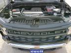 2025 Chevrolet Silverado C1500 na sprzedaż w San Antonio, TX - Hail