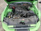 2013 Ford Mustang  for Sale in Chatham, VA - Front End