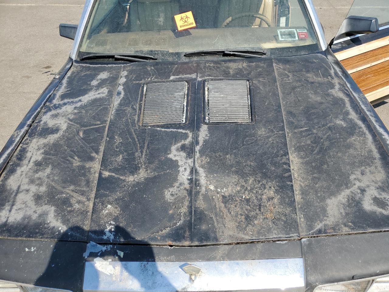 1986 Chrysler Lebaron VIN: 1C3BC55E6GG215373 Lot: 54530915
