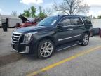 2015 Cadillac Escalade Premium for Sale in Bridgeton, MO - Hail