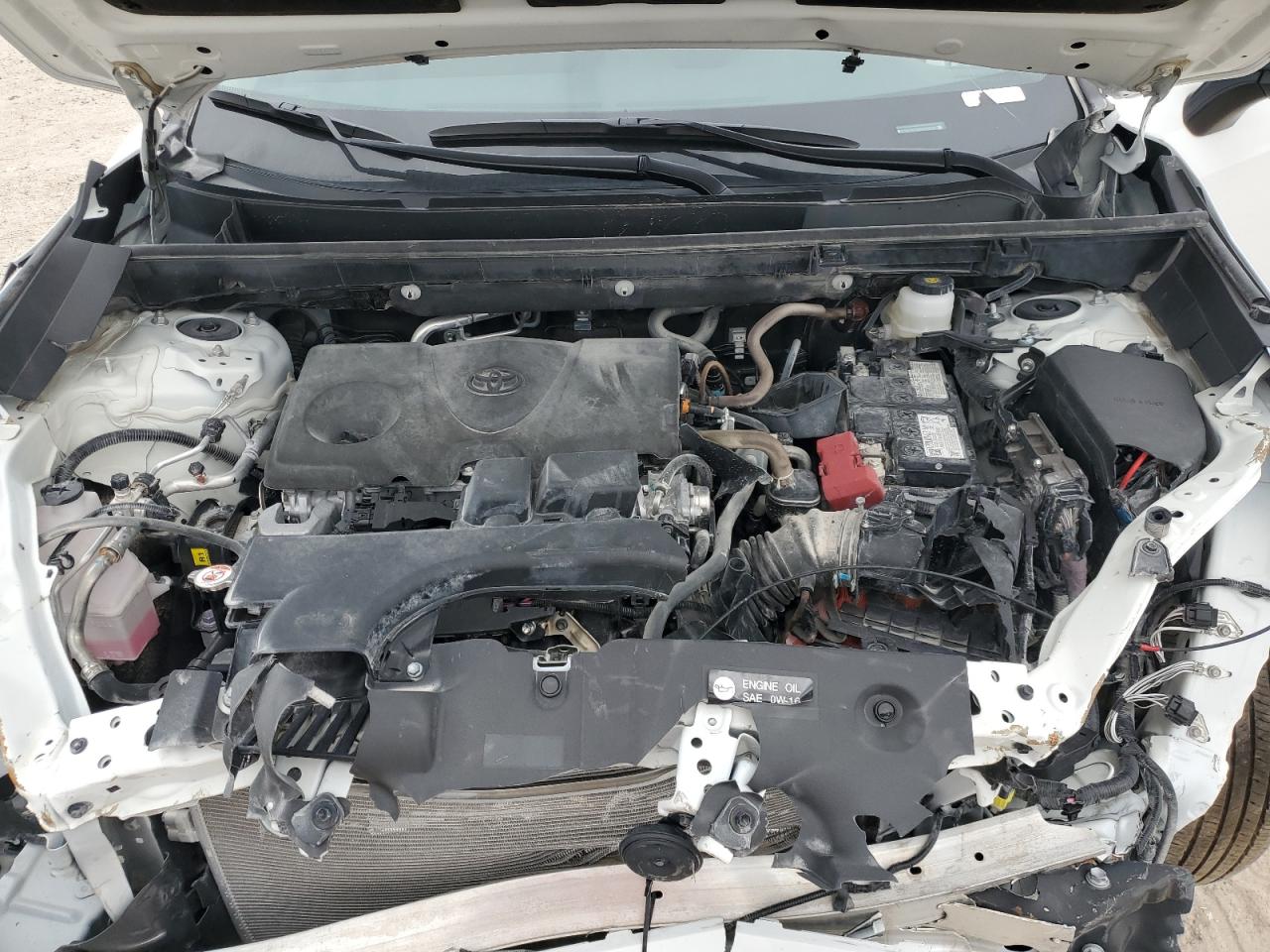 2024 Toyota RAV 4 - Image 12
