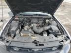 2008 Ford Mustang  en Venta en Marlboro, NY - All Over