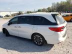 2022 Honda Odyssey Exl de vânzare în Madisonville, TN - Front End