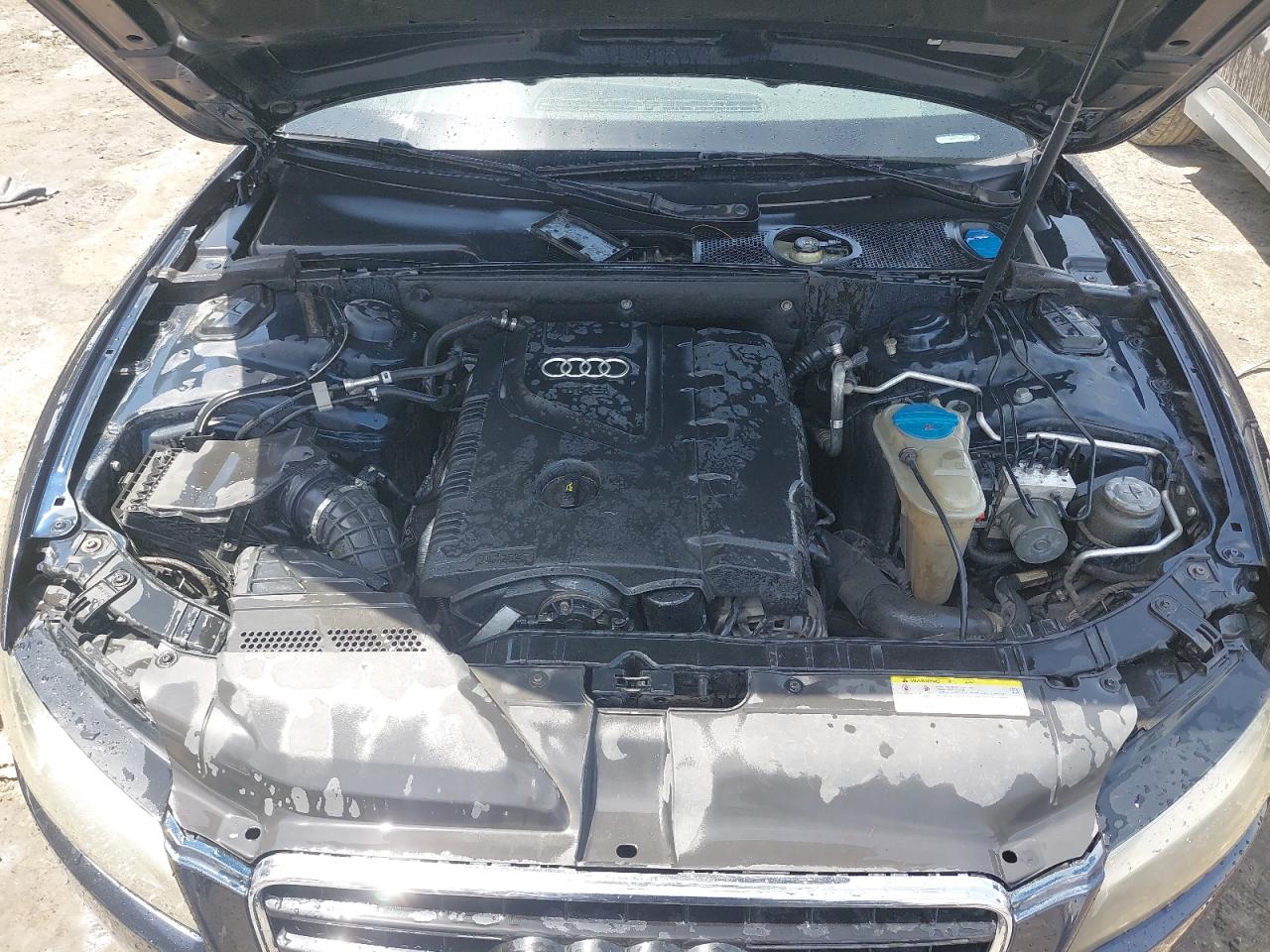 WAU9FD8TXBA026448 - 2011 Audi A5 - #undefined