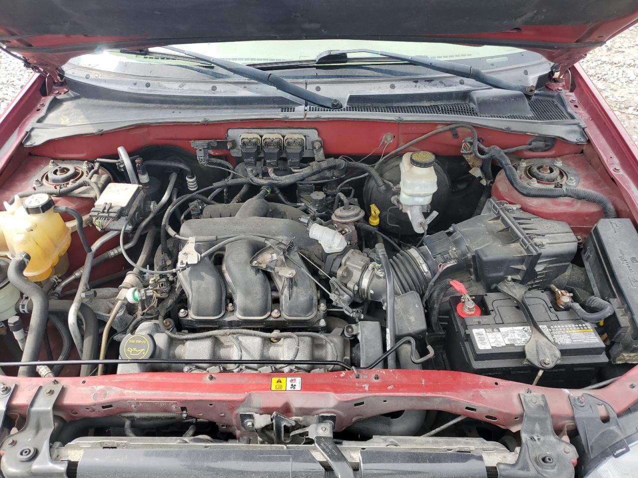 2005 Ford Escape Limited VIN: 1FMYU04165KA33277 Lot: 54407625