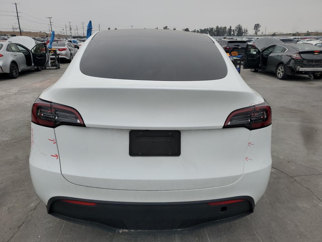 2023 Tesla Model Y VIN: 7SAYGDEEXPF750806 Lot: 53968145
