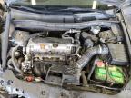 2011 Honda Accord Lxp for Sale in Pasco, WA - Front End