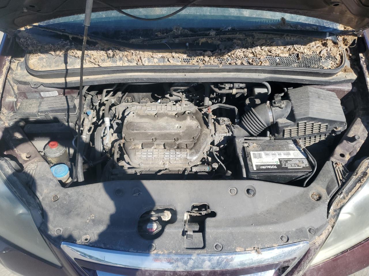 2007 Honda Odyssey Lx VIN: 5FNRL38207B077596 Lot: 54146135