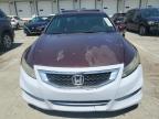 2012 Honda Accord Ex იყიდება Louisville-ში, KY - Rear End