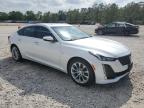 2023 Cadillac Ct5 Premium Luxury للبيع في Houston، TX - Water/Flood