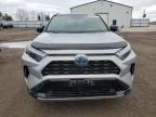 2024 TOYOTA RAV4 XSE for sale at Copart ON - TORONTO
