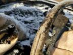 2001 Toyota Rav4  de vânzare în Columbia Station, OH - Burn