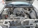 2004 Lincoln Town Car Ultimate zu verkaufen in Las Vegas, NV - Front End