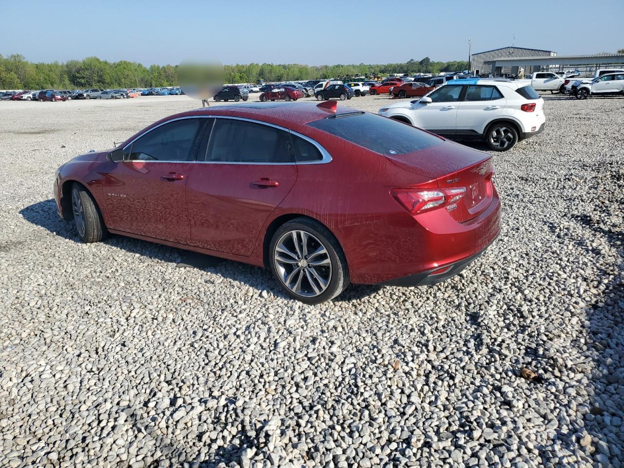 1G1ZE5ST0PF129174 CHEVROLET MALIBU 2023