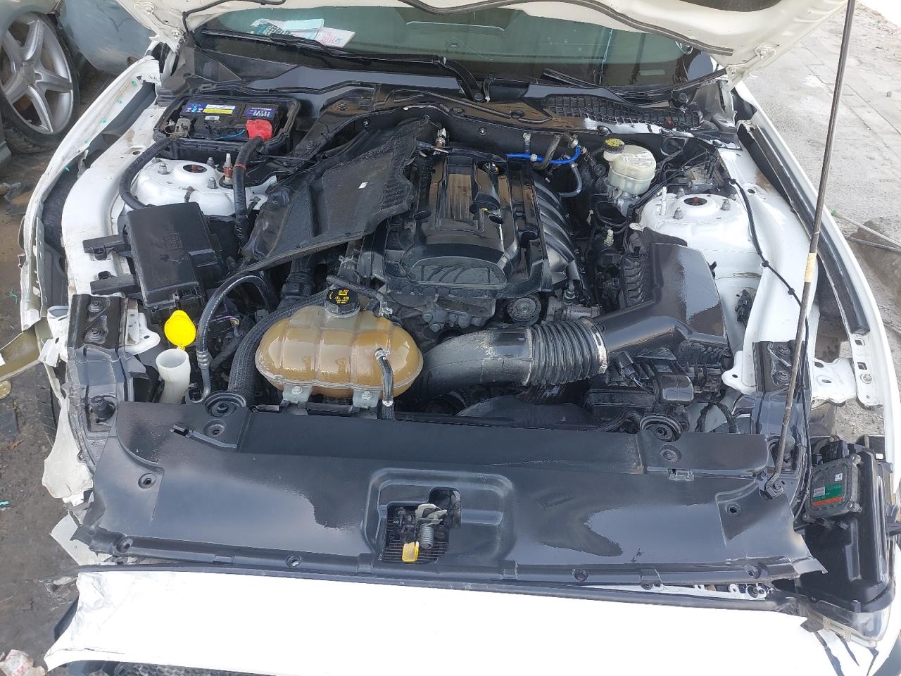 1FA6P8TH8H5295245 - 2017 Ford MUSTANG - #undefined