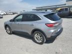 2021 Ford Escape Se   for Sale in Earlington, KY - Hail