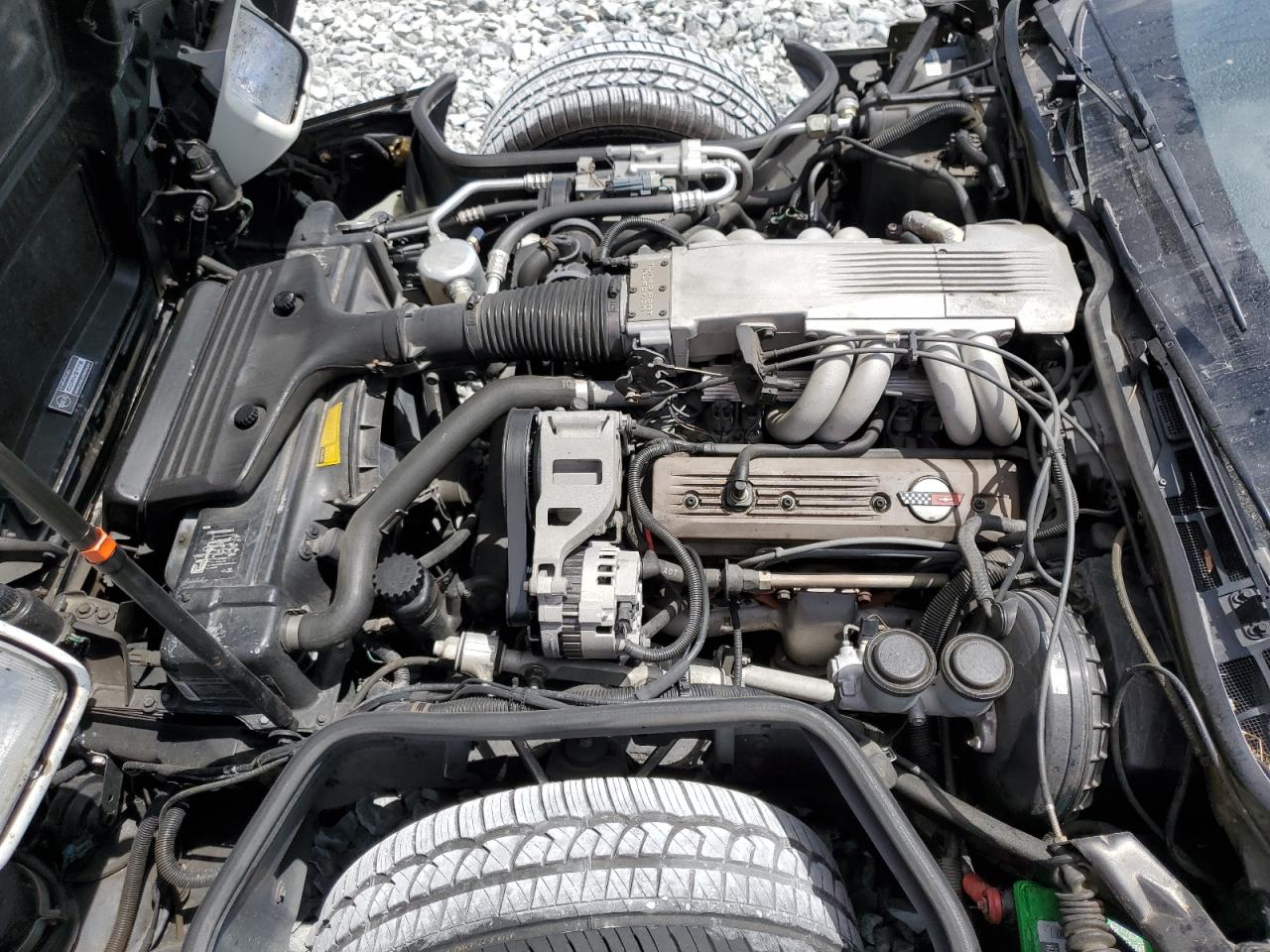 1989 Chevrolet Corvette VIN: 1G1YY218XK5101296 Lot: 50921565