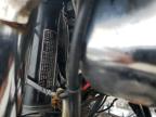 1981 HONDA CB750 C for sale at Copart KY - WALTON