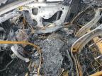 2013 Chevrolet Cruze Ls na sprzedaż w Lexington, KY - Burn
