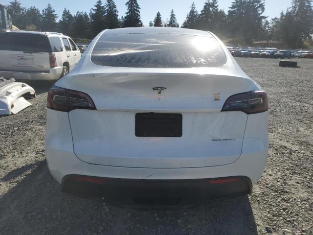  TESLA MODEL Y 2023 Белый