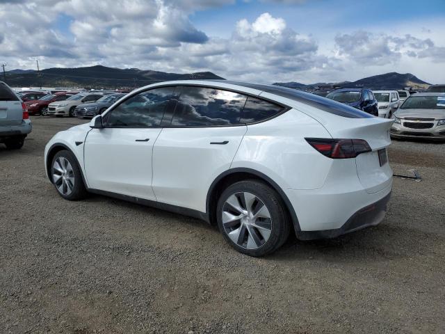  TESLA MODEL Y 2023 Белы
