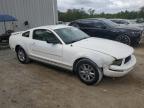2005 Ford Mustang  for Sale in Jacksonville, FL - Front End
