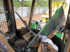 2019 John Deere 843 Feller Buncher for Sale in Shreveport, LA - Burn