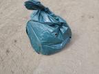 2023 KAWASAKI ZX636 K   for sale at Copart CO - DENVER