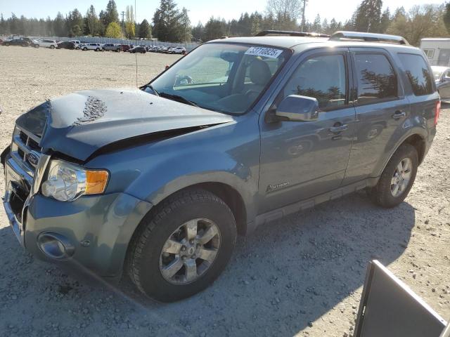 2010 Ford Escape Hybrid