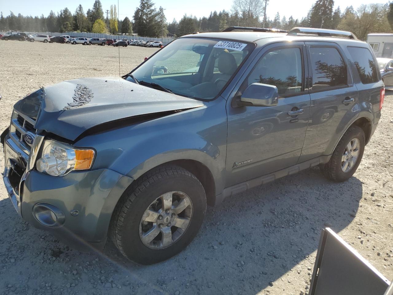 2010 Ford Escape Hybrid for Sale in Graham, WA - Front End