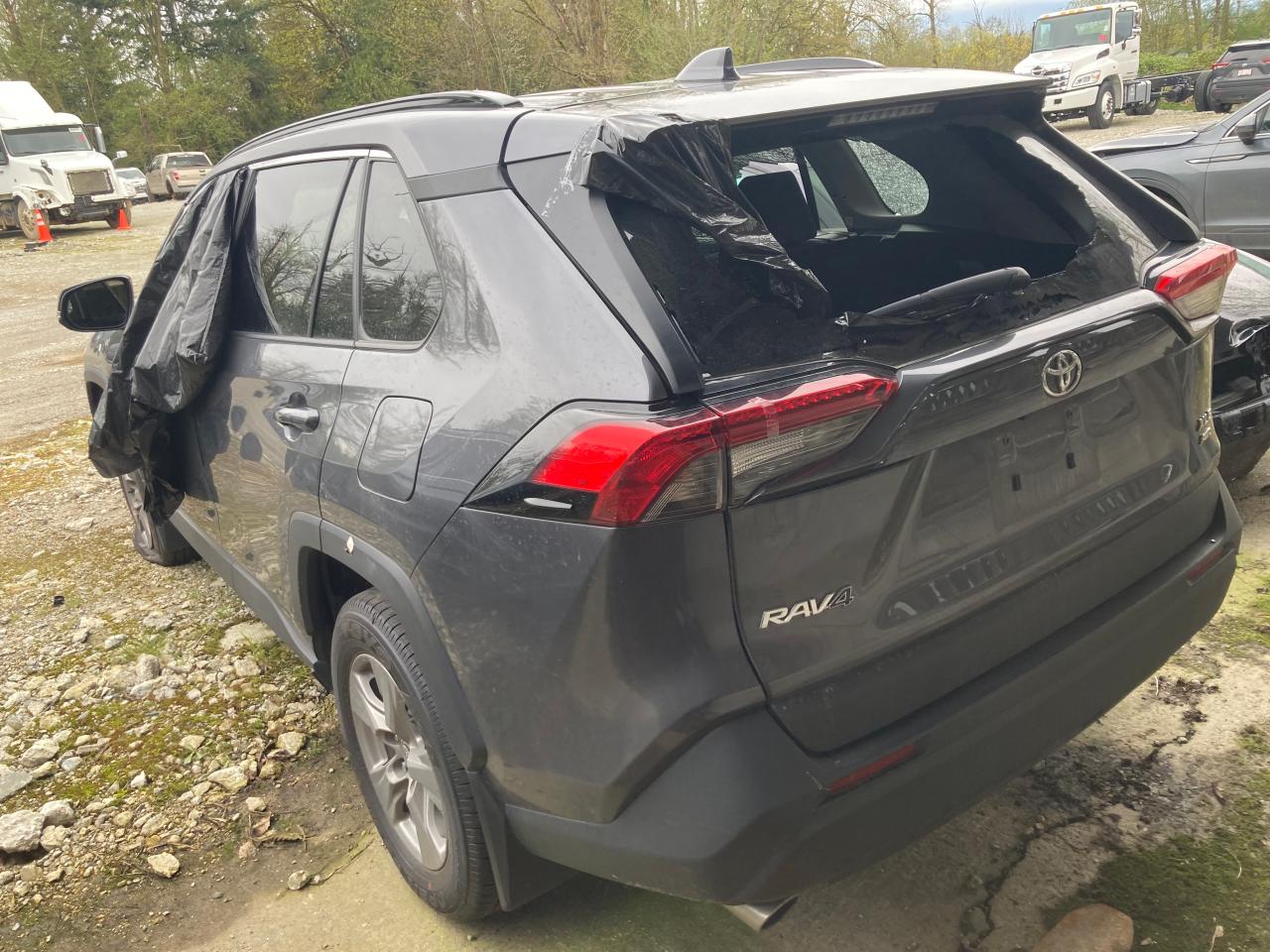 2T3R1RFV5RC469932 TOYOTA RAV4 2024