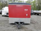2011 Stealth Enterprises Enclosed Cargo Trailer იყიდება Cahokia Heights-ში, IL - Hail