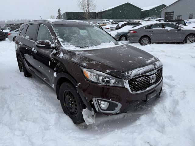 Паркетники KIA SORENTO 2016 Коричневый